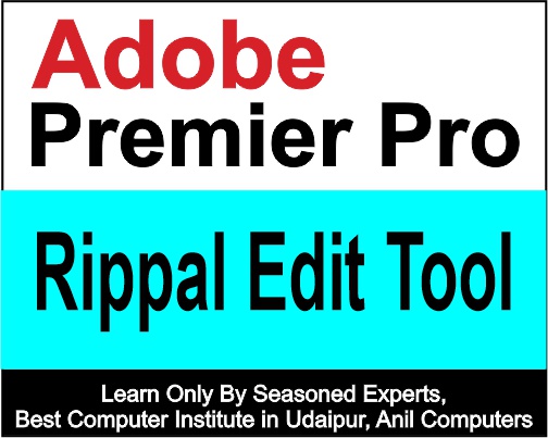 Rippal edit tool