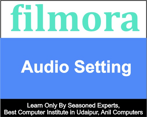 Audio Setting