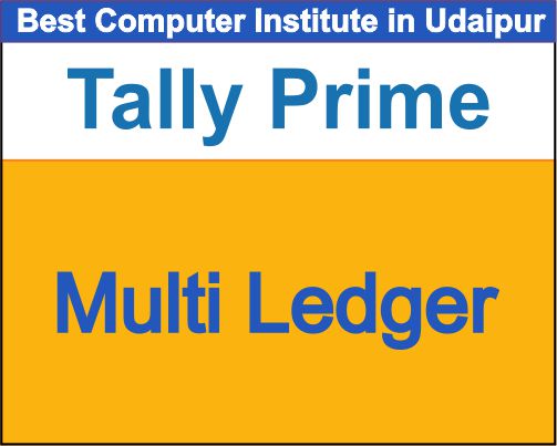 Multi Ledger