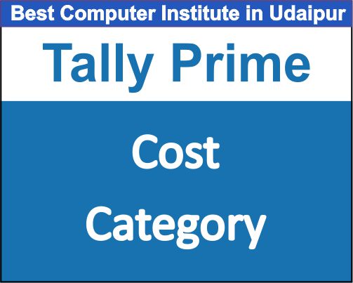 Cost Category