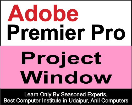 project Window